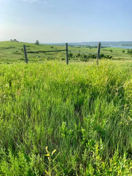 Scenic overlook of river with clover and fields