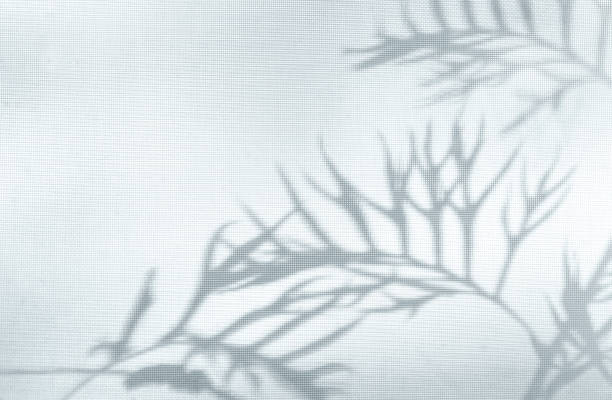 Shadow in the window, abstract background with copy space, full frame horizontal composition