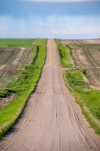istock Country road in rural Alberta 1403719688