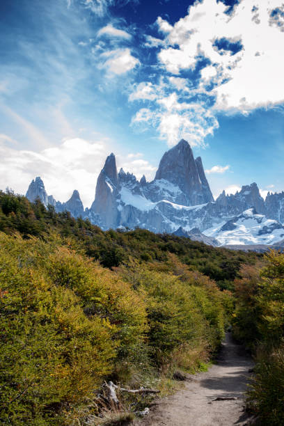 trail leading to the laguna de los tres at the base of mount fitz roy in argentina patagonia - tree patagonia autumn green imagens e fotografias de stock