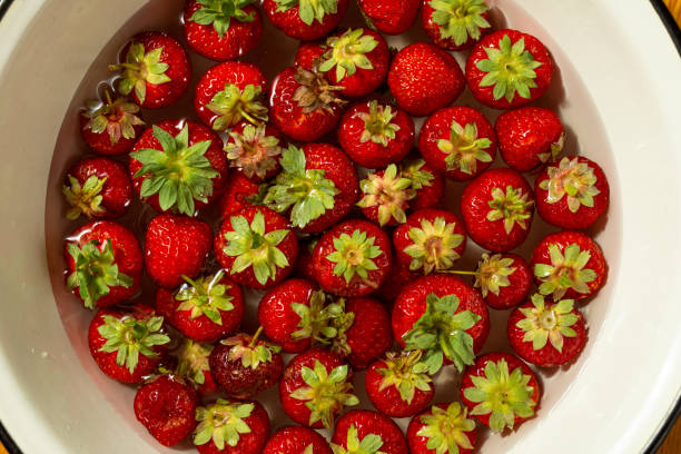 물이 든 그릇에 신선한 딸기 - washing fruit preparing food strawberry 뉴스 사진 이미지