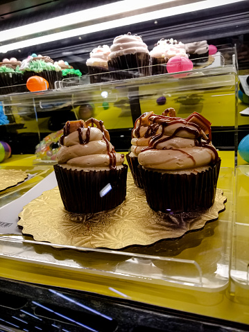 a variety of large chocolate cupcakes are available in the bakery display case