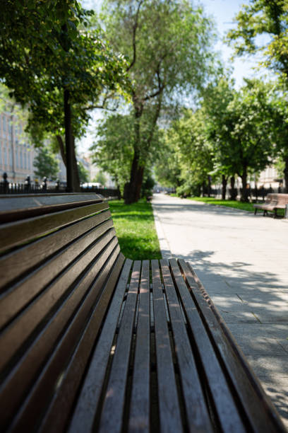 istock Park Benches with Trees on a Sunny Spring Day 1403735011