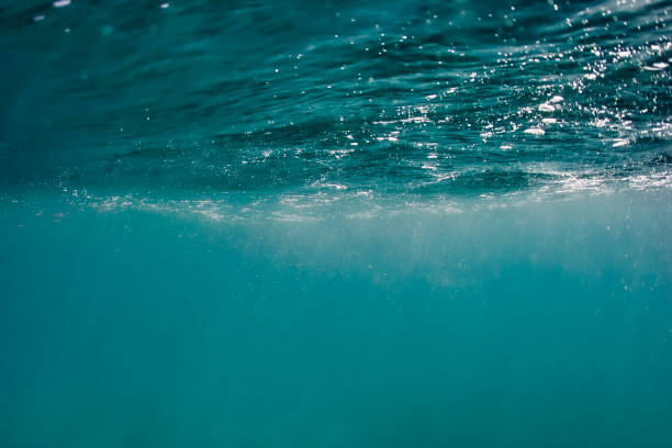 istock Underwater view of sunlight shining through sea surface. 1403740331