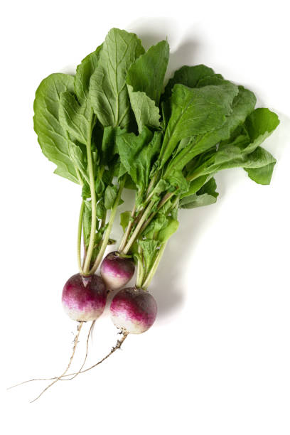istock Fresh radish with leaves 1403741777