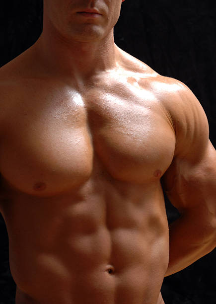 male chest stock photo