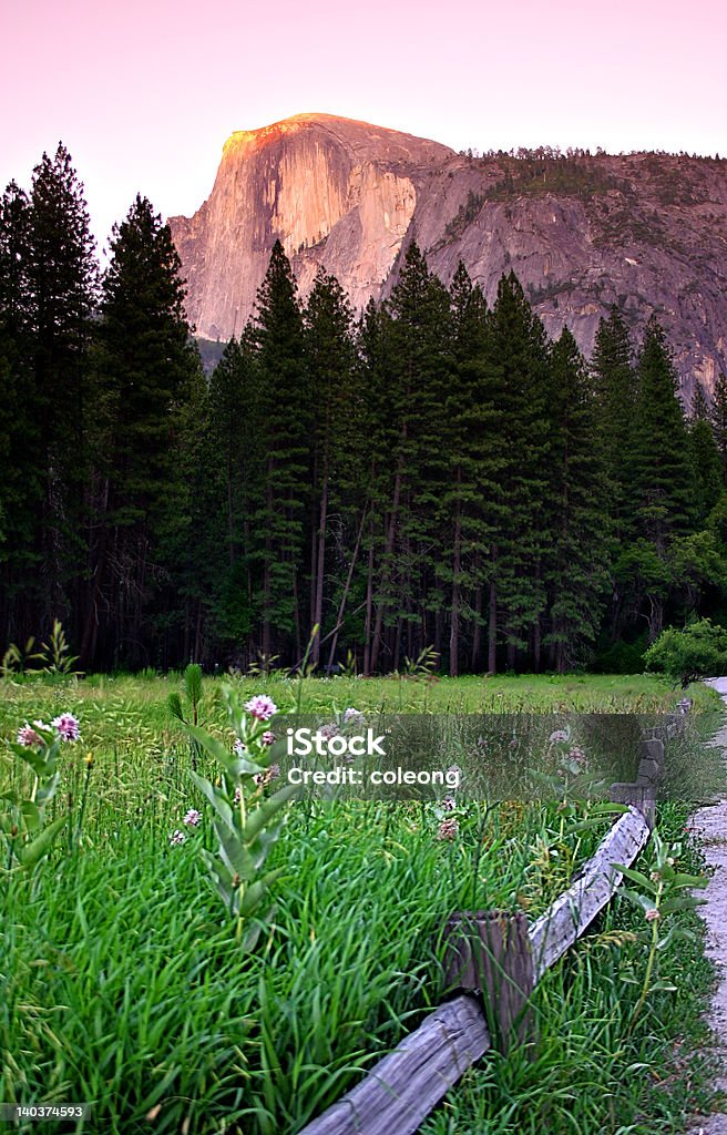 Half Dome, Yosemite National Park - Lizenzfrei Agrarbetrieb Stock-Foto