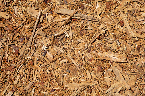 sawdust and pieces of wood