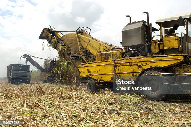Foto de Cuba Canadeaçúcar Harvest e mais fotos de stock de América Latina - América Latina, Boicote, Cana-de-açúcar