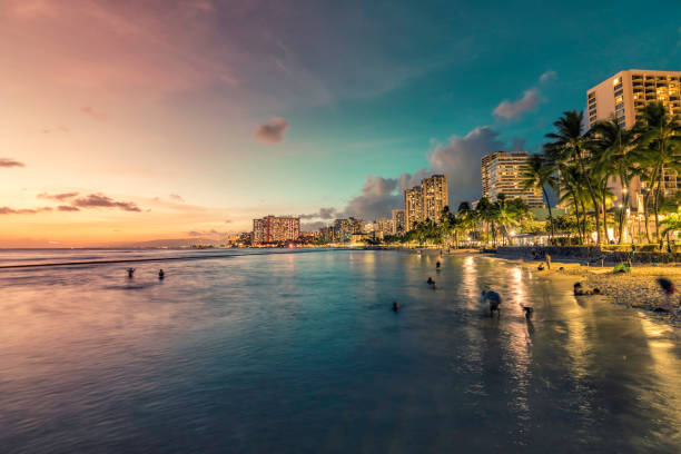 ภาพพาโนรามายามค่ําคืนของหาดไวกีกิและอาคารริมชายฝั่งที่มีต้นปาล์มในโฮโนลูลู - hawaii islands ภาพสต็อก ภาพถ่ายและรูปภาพปลอดค่าลิขสิทธิ์