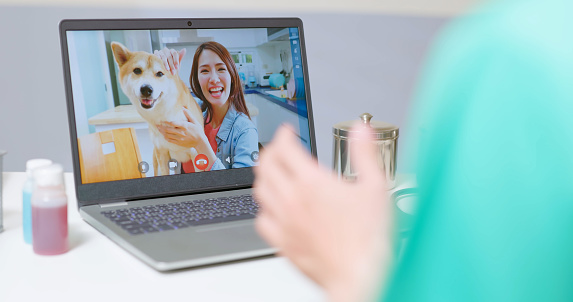 close up rear view of asian male veterinarian wear scrubs use laptop computer sit in office talk to female pet owner on online virtual video call - he check up dog and give treatment plan consult for them