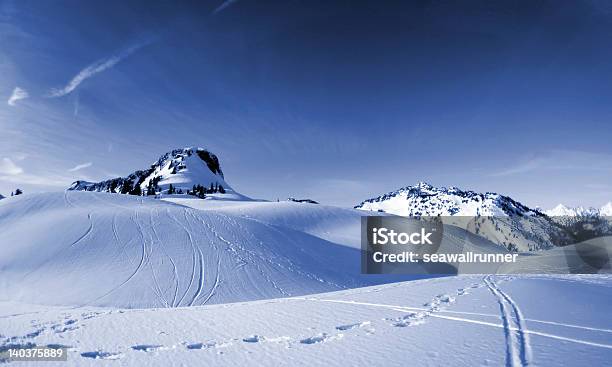 Inverno Brani - Fotografie stock e altre immagini di Ambientazione esterna - Ambientazione esterna, Area selvatica, Blu