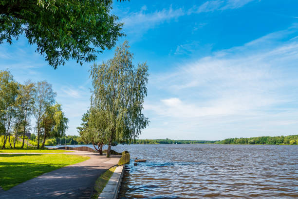 bella banchina vicino al lago paprocaski a tychy. betulla in primo piano. soleggiata giornata estiva. piattaforme in legno - patrick quay foto e immagini stock