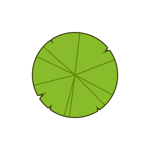 160+ Lotus Flower Free Cartoon Stock Photos, Pictures & Royalty-Free