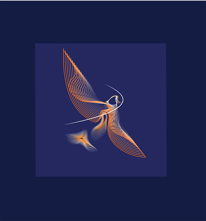 An abstract illustration of a Flying bird  concentric line method by eBHua