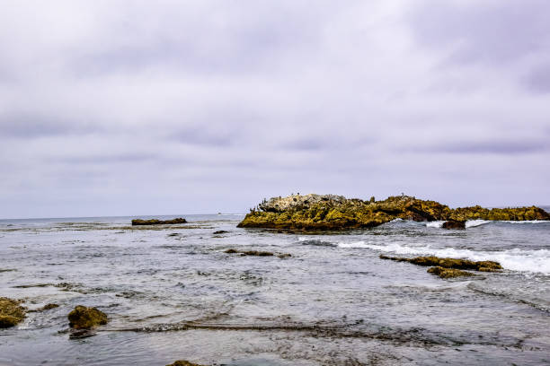 istock Pacific Ocean - As Seen From Laguna Beach 1403761435