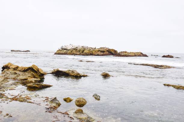 istock Laguna Beach California 1403761502