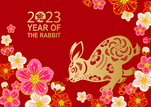 Plum Blossom of Rabbit Year