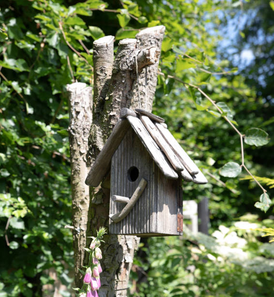 istock The beautiful Danish garden 1403761778