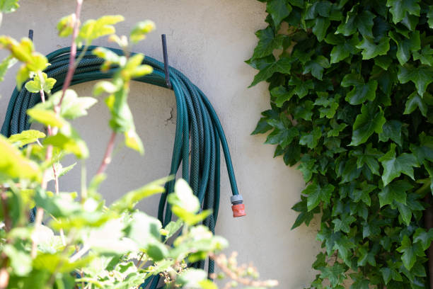 istock The beautiful Danish garden 1403761789