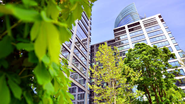 istock Fresh green trees and office building, 1403763726