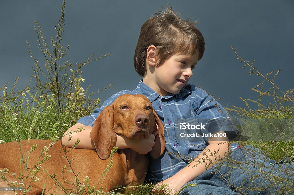 Jeune garçon avec son chien dans des prairies - Photo de 6-7 ans libre de droits