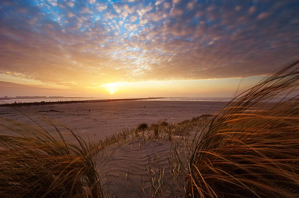 istock Beautiful sunset and sand dunes 140376516