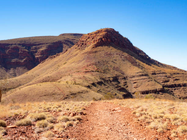 Red rocks and spinifex stock photo