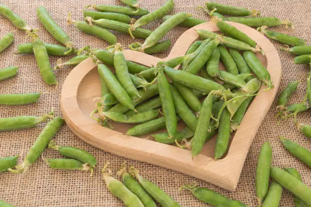 Close up shot of fresh green peas with seed pods in a wooden-heart plate. Benefits of green peas concept.