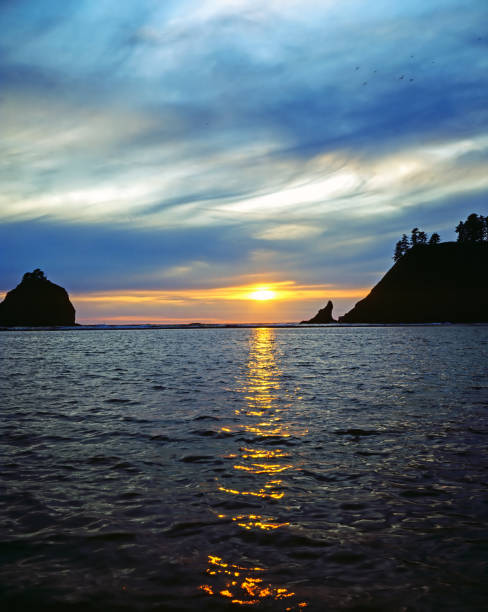 istock Coast of Oregon 1403767474