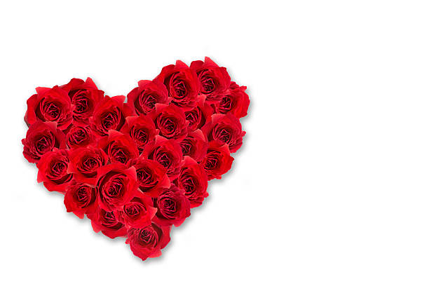 istock heart of rose 140376826