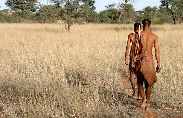 buschman in der kalahari - kalahari gemsbok nationalpark stock-fotos und bilder