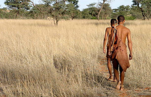 buschman in der kalahari - kalahari gemsbok national park stock-fotos und bilder