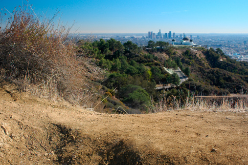 View of Los Angeles California from Griffith Park hiking trail