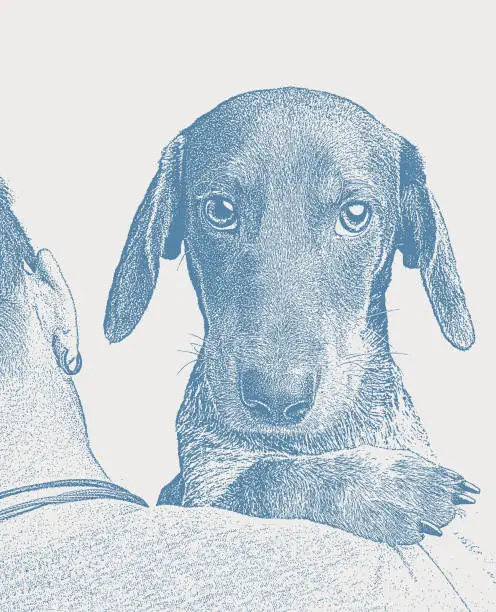 Vector illustration of Hugging Dachshund dog