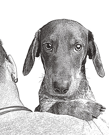 Free download of dachshund tattoo vector graphics and illustrations, page 15