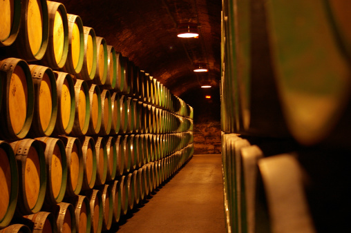 Barrels in Marques de Riscal Winery Warehouse
