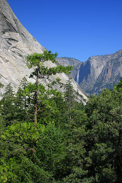 istock Yosemite National Park, USA 140377942