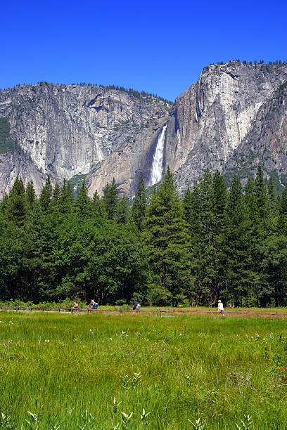 istock Yosemite National Park, USA 140377962