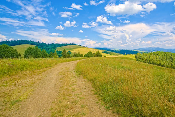 Beautiful field with a dirt road on a hill, hills covered with grass behind the mountains and the sky with barns. landscape background. Beautiful field with a dirt road on a hill, hills covered with grass behind the mountains and the sky with barns. landscape background. ukrainian village stock pictures, royalty-free photos & images