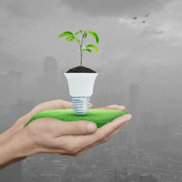 istock Green ecology and saving energy concept 1403780185