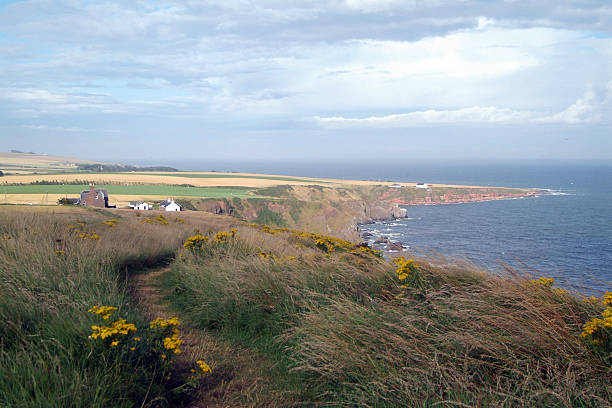 istock Cottage by the Sea 140378062