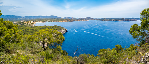 Panorama view over the bay of Santa Ponsa with pine trees in foreground and the villages Cala Fornells, Peguera, Costa de la Calma, Rotes Velles and Santa Ponca from left to right in the background.