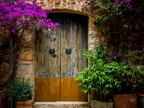 Outside a closed wooden entry door to a patio behind a typical mediterranean stone wall decorated with potted plants and purple flowers in the famous beautiful mountain village Fornalutx, Mallorca.