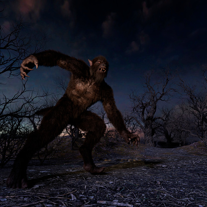 Illustration of a werewolf during the night in the creepy forest - 3d rendering