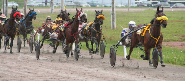Harness Racing At the Harness Races in Inverness/ Nova Scotia. horse cart photos stock pictures, royalty-free photos & images