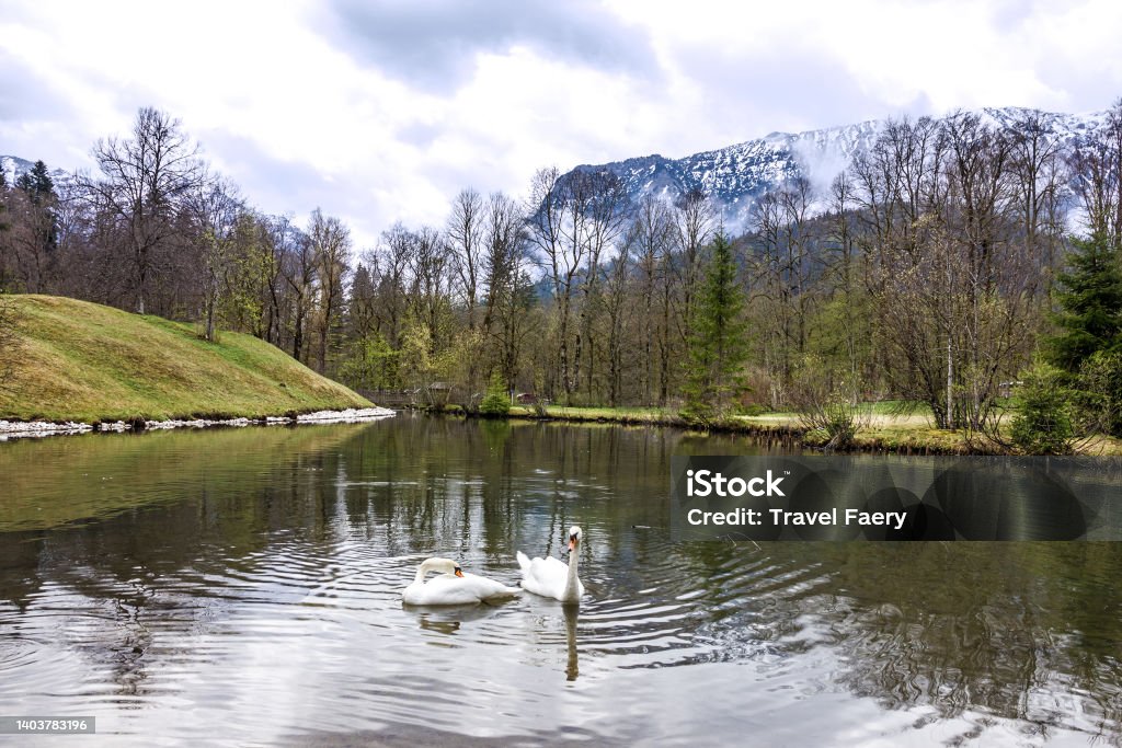 Bavaria, Germany. Natural lake landscape, Linderhof Animal Stock Photo