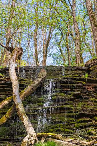 Waterfall by a rock ravine with old wooden logs