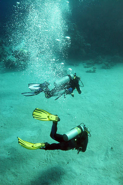 istock Scuba divers in the Red Sea 140378423