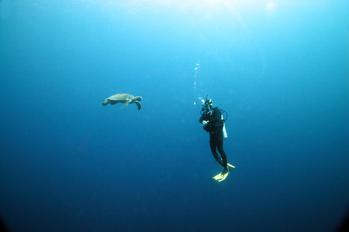 Scuba diver and turtle checking each other out